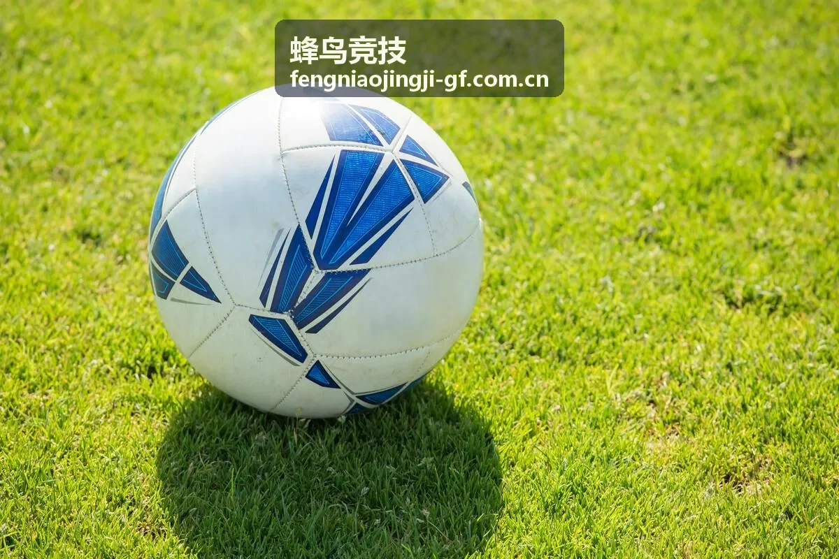 蜂鸟竞技选手转会市场动态